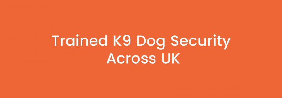 Trained K9 Dog Security Across UK